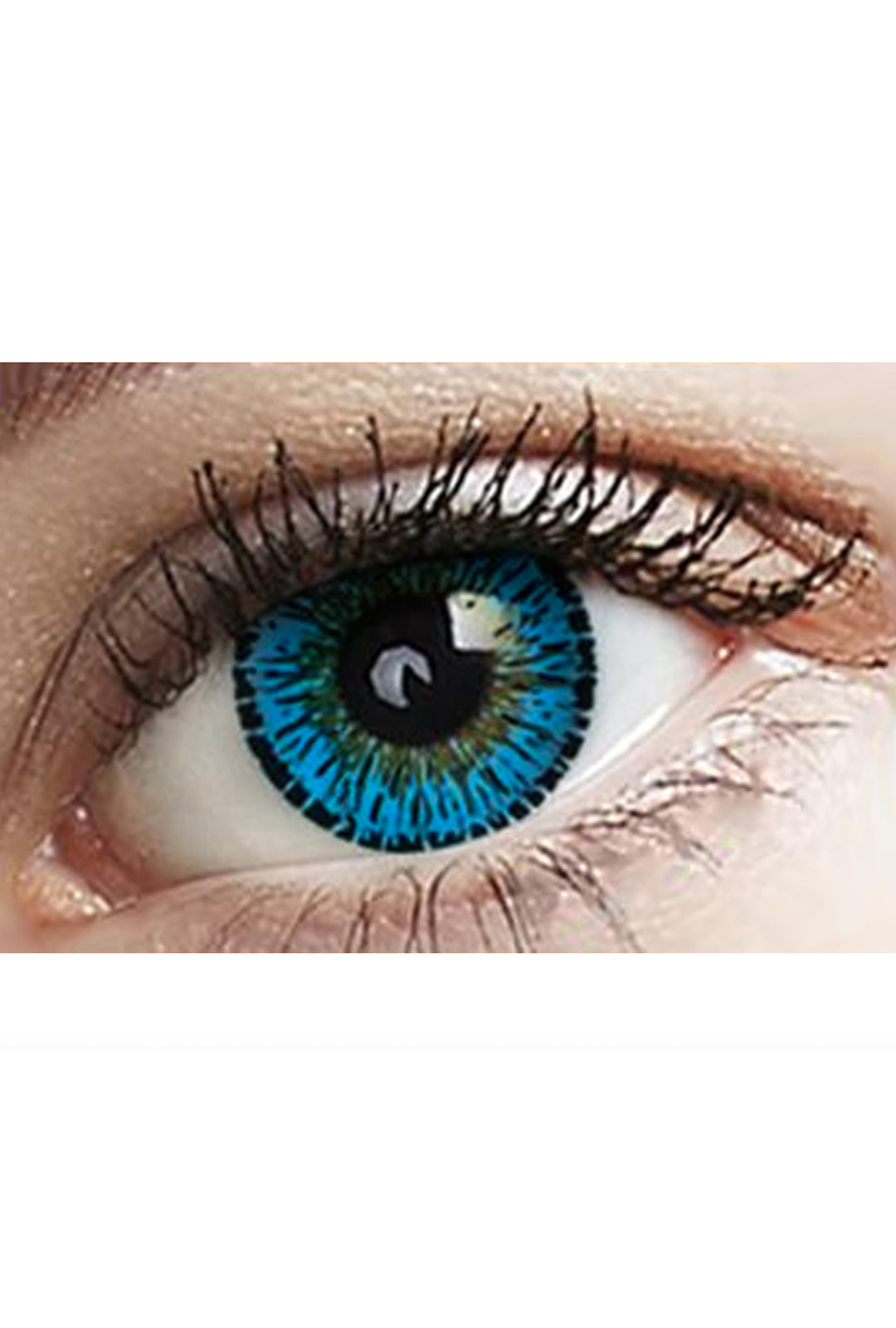 Sapphire Freshtone Eye-to-Eye Circle Lenses