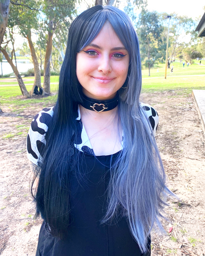 Deluxe Two Toned Long Black and Grey Wig